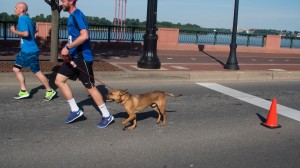2017-CSFL5K-084