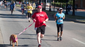 2017-CSFL5K-101