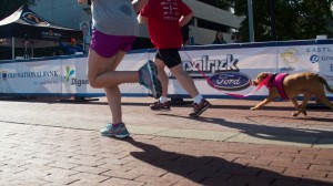 2017-CSFL5K-118