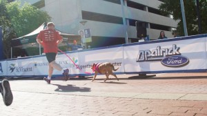 2017-CSFL5K-119